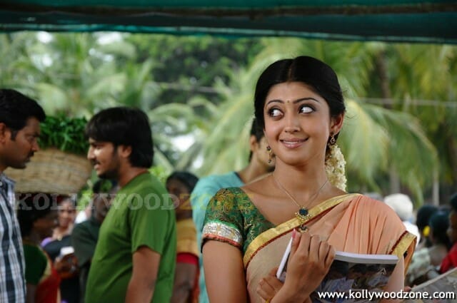 Telugu Actress Pranitha Sexy Stills
