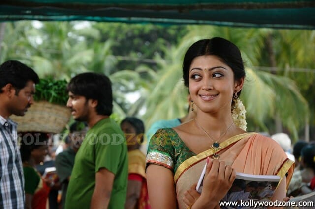 Telugu Actress Pranitha Sexy Stills