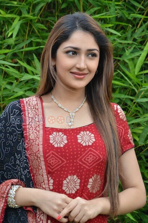 Telugu Actress Sayesha New Pictures