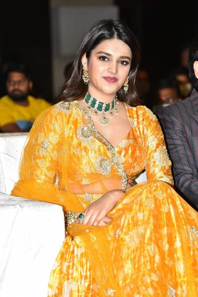 Telugu Heroine Nidhhi Agerwal Orange Photoshoot Pictures 08