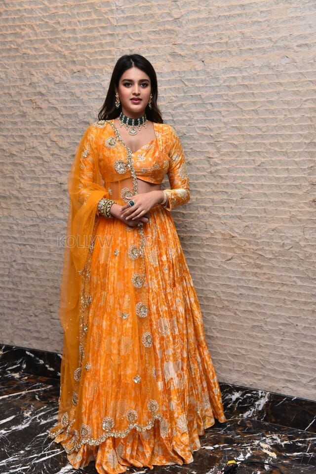 Telugu Heroine Nidhhi Agerwal Orange Photoshoot Pictures 10