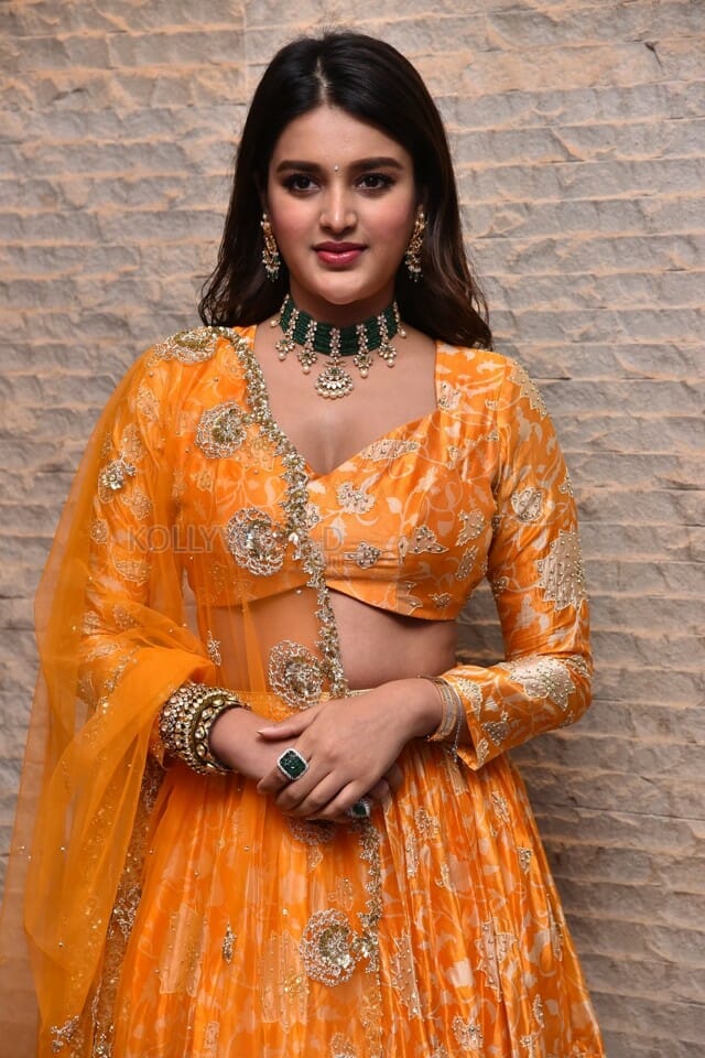 Telugu Heroine Nidhhi Agerwal Orange Photoshoot Pictures 12