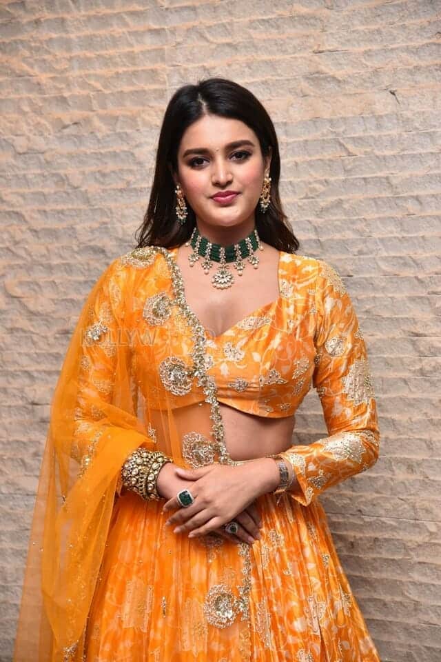 Telugu Heroine Nidhhi Agerwal Orange Photoshoot Pictures 14