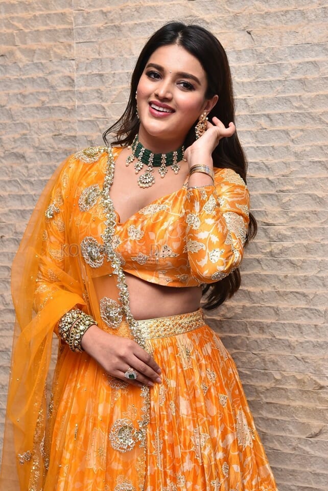 Telugu Heroine Nidhhi Agerwal Orange Photoshoot Pictures 18