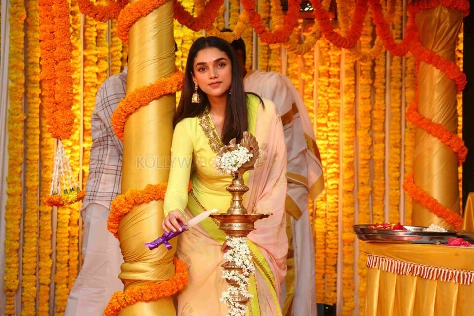 Thuglak Darbar Movie Heroine Aditi Rao Hydari Photos