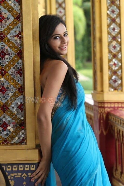 Tolly Actress Rakul Preet Singh Sexy Photos