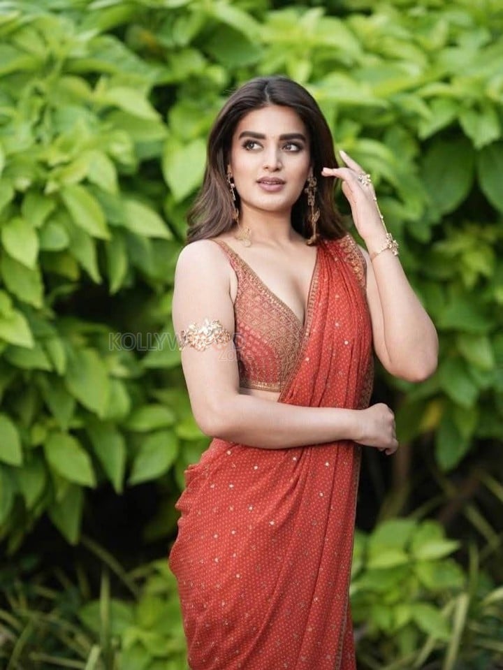 Tollywood Heroine Niddhi Agerwal in a Sequin Rust Saree with an Embroidered Sleeveless Saree Photos 04