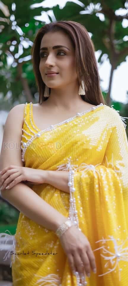 Trisha Krishnan in a Yellow Saree Pic 01