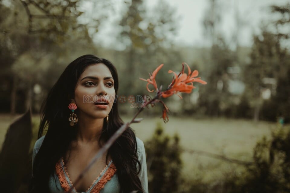 Vsp Amala Paul Pictures