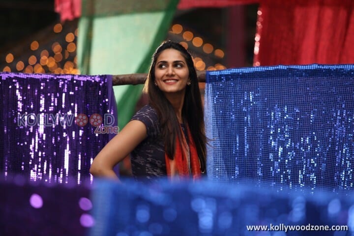 Aaha Kalyanam Vaani Kapoor Photos