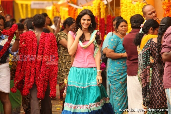 Aaha Kalyanam Vaani Kapoor Photos