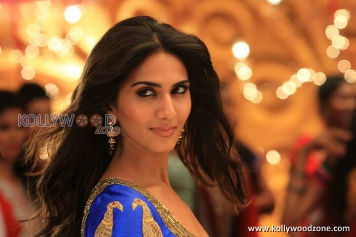 Aaha Kalyanam Vaani Kapoor Photos