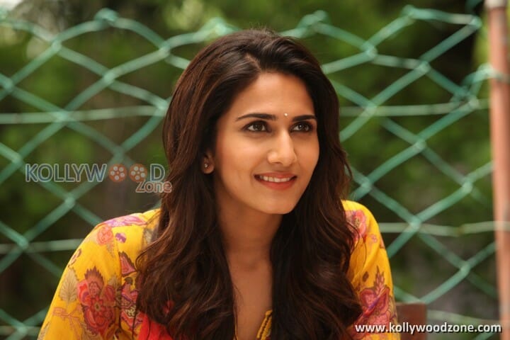 Aaha Kalyanam Vaani Kapoor Photos