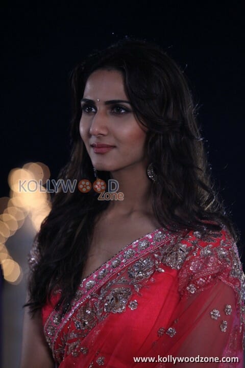 Aaha Kalyanam Vaani Kapoor Photos