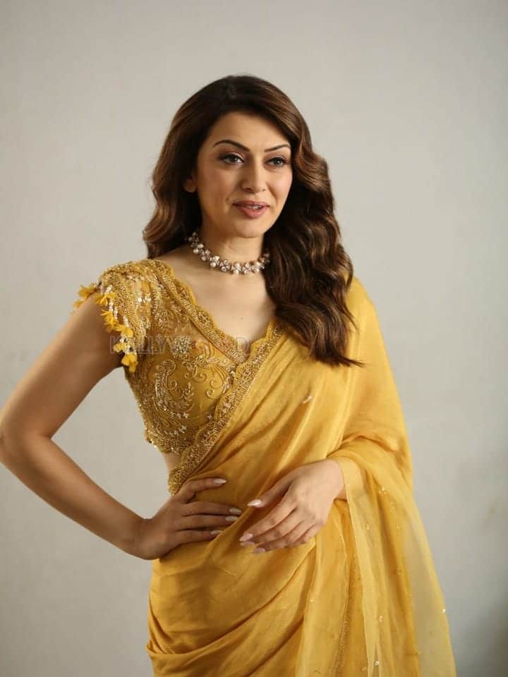 Actress Hansika Motwani at My Name Is Shruthi Interview Pictures 04