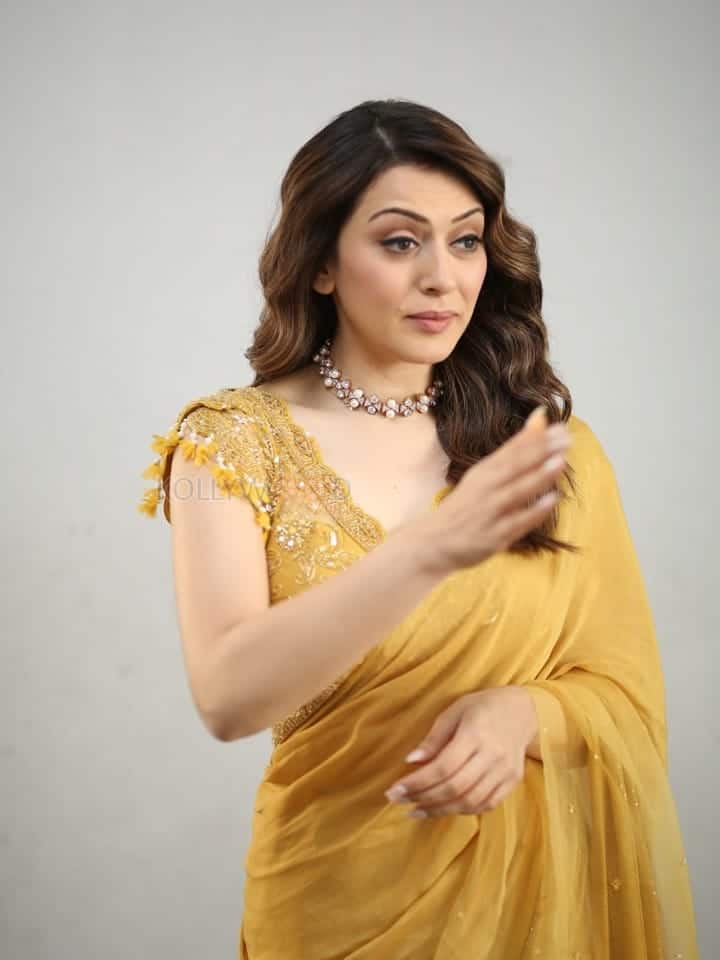 Actress Hansika Motwani at My Name Is Shruthi Interview Pictures 06