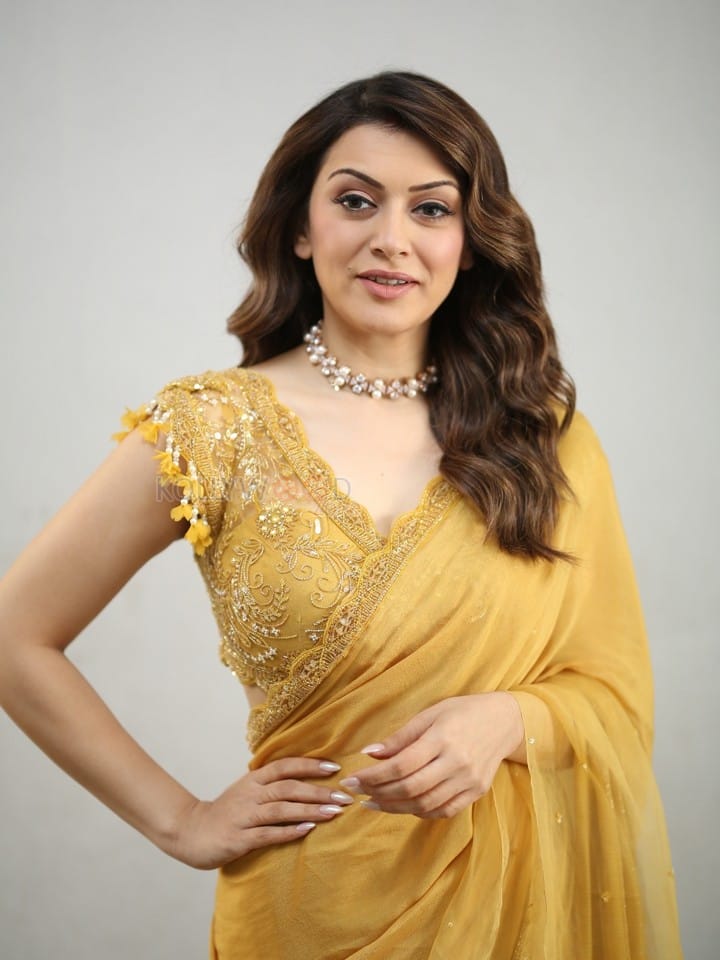 Actress Hansika Motwani at My Name Is Shruthi Interview Pictures 07