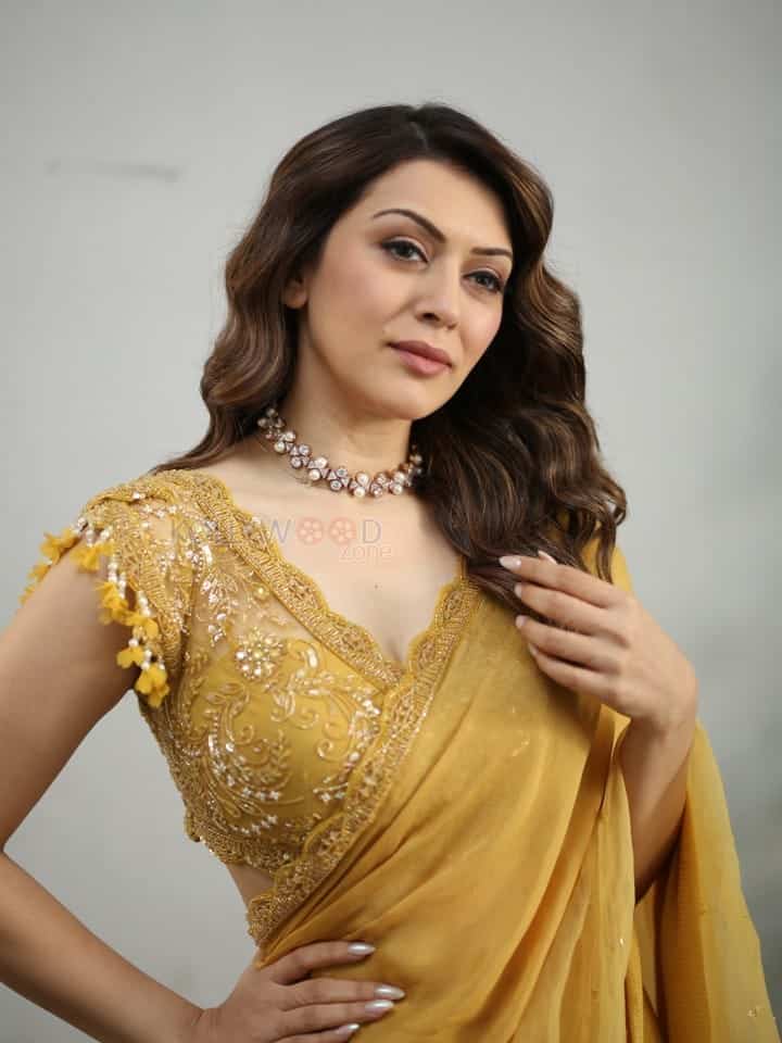 Actress Hansika Motwani at My Name Is Shruthi Interview Pictures 09