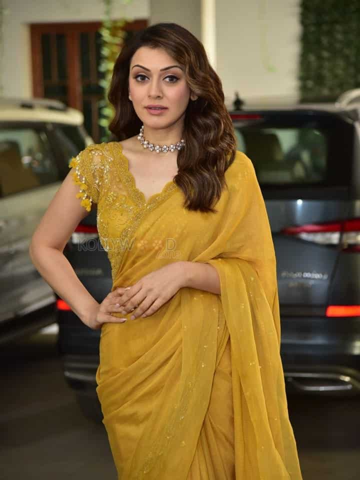 Actress Hansika Motwani at My Name Is Shruthi Interview Pictures 12