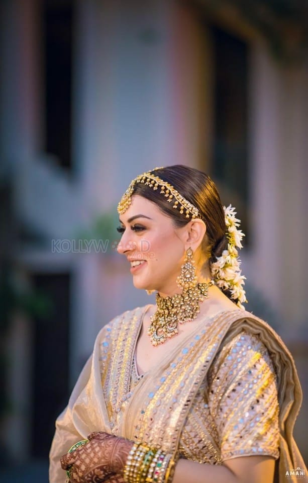 Actress Hansika Motwani at her Brother Engagement Photos