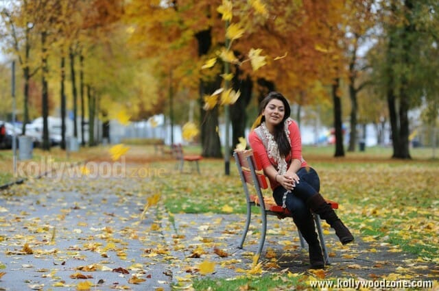 Actress Hansika Sexy Pictures