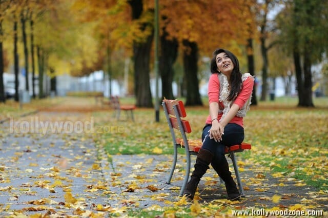 Actress Hansika Sexy Pictures