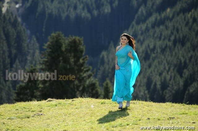 Actress Hansika Sexy Pictures