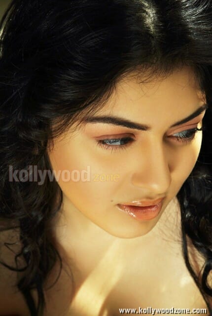 Actress Hansika Sexy Stills