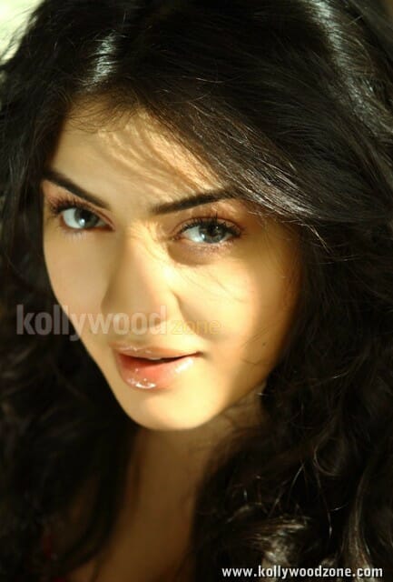 Actress Hansika Sexy Stills