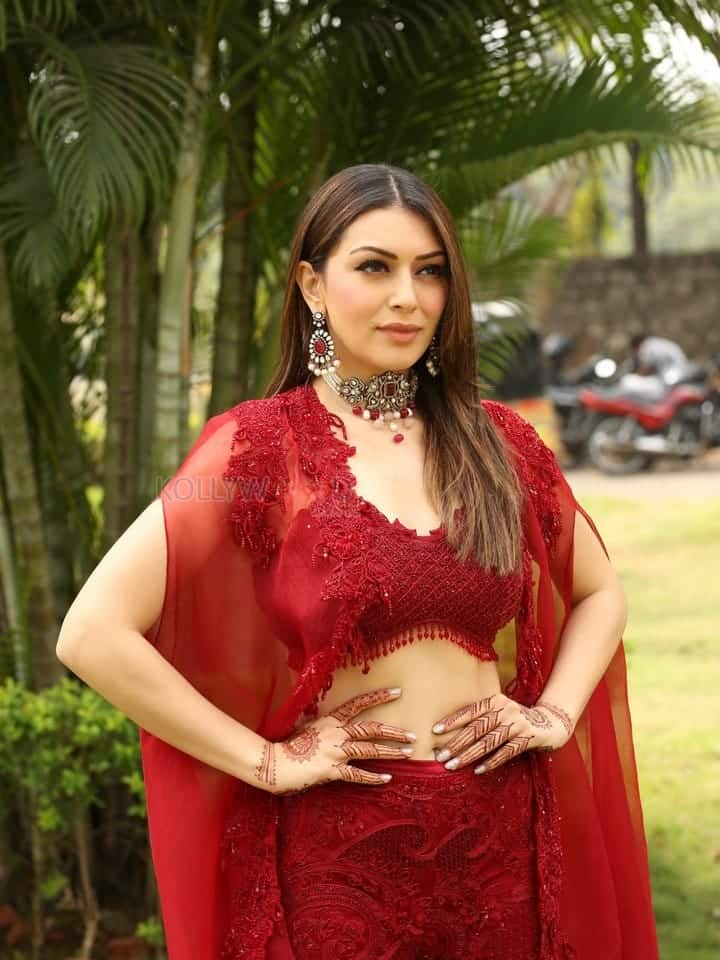 Actress Hansika at My Name Is Shruthi Trailer Launch Event Pictures 19