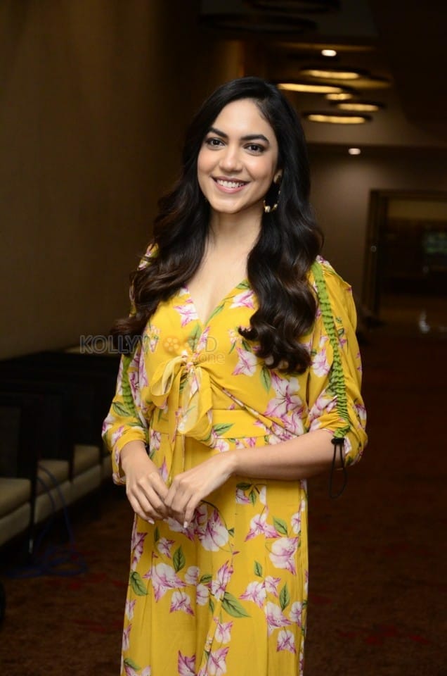 Actress Ritu Varma at Tuck Jagadish Movie Interview Pictures 17