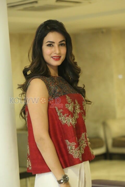 Actress Sonal Chauhan New Pictures
