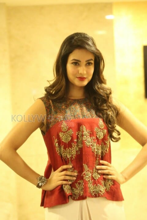 Actress Sonal Chauhan New Pictures