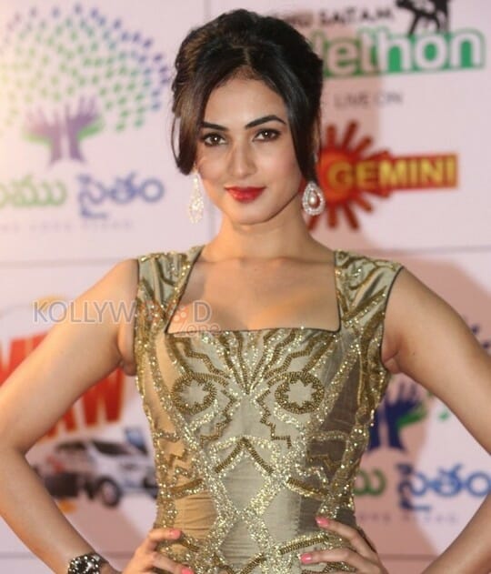 Actress Sonal Chauhan Photos