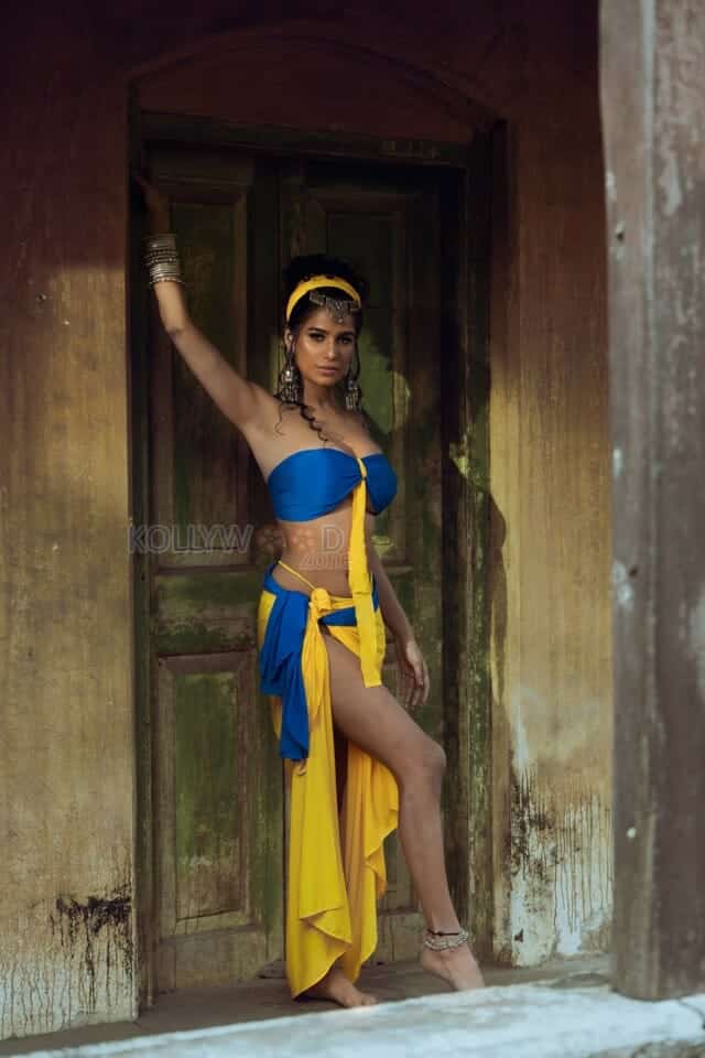 Adult Actress Poonam Pandey Sexy Hot Photoshoot Stills 02