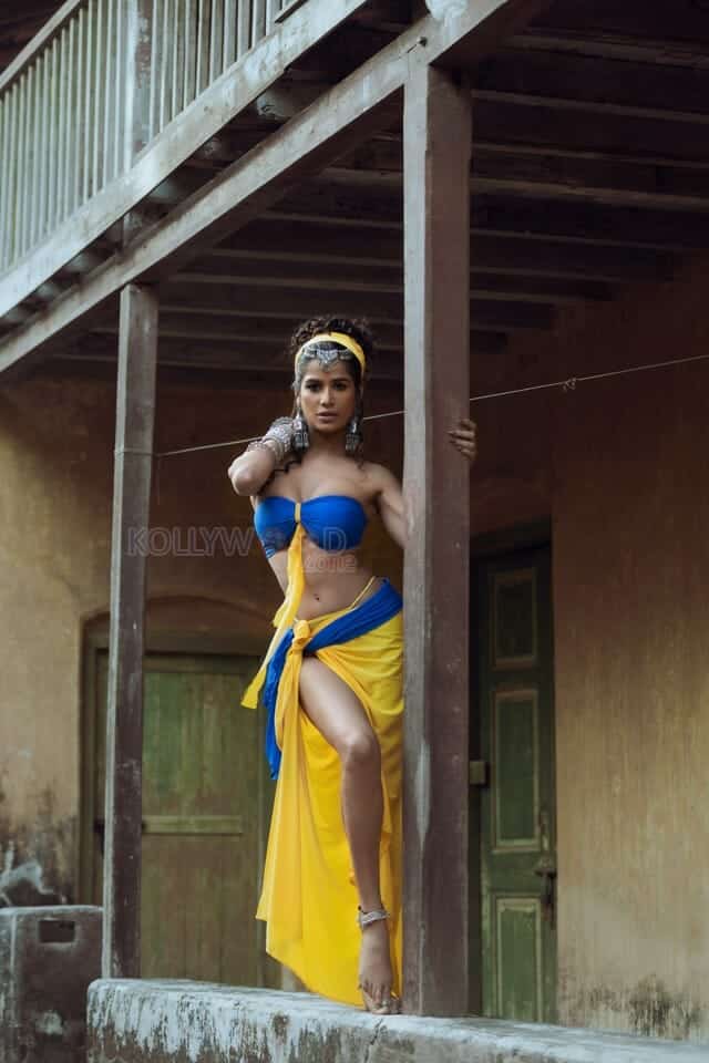 Adult Actress Poonam Pandey Sexy Hot Photoshoot Stills 05