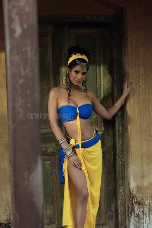Adult Actress Poonam Pandey Sexy Hot Photoshoot Stills 06