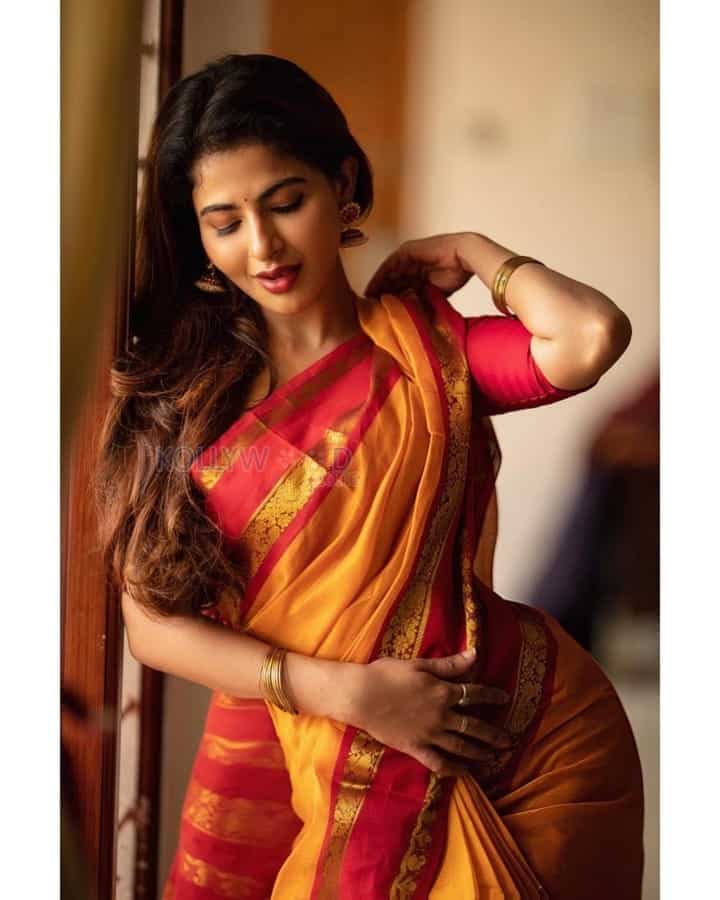 Elegantly Stunning Iswarya Menon in a Silk Saree Photos 05