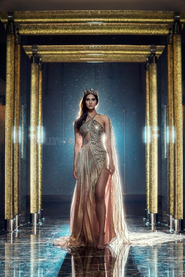 Fashion Beauty Vaani Kapoor Sexy Pictures 25