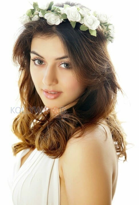 Hansika Hot Photos