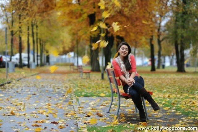 Hansika Motwani Hot Pictures