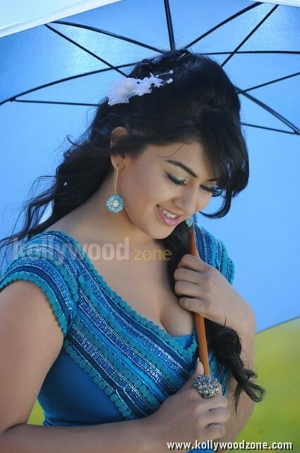 Hansika Motwani Sexy Stills