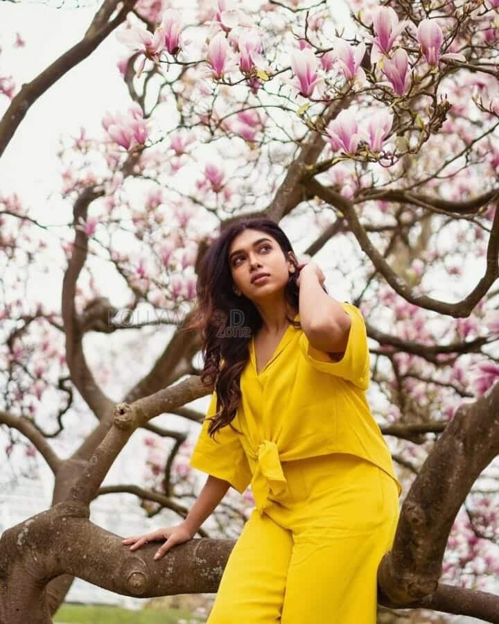 Pretty Dushara Vijayan in Yellow Photoshoot Stills 04