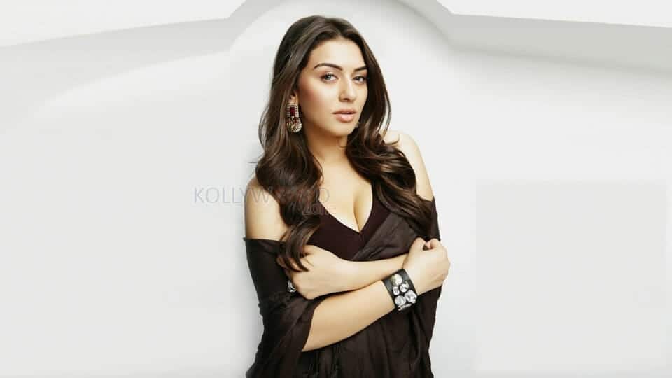 Rowdy Baby Actress Hansika Motwani Sexy Pictures 02