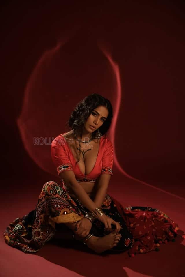 Sexy Poonam Pandey in a Traditional Outfit Pictures 09