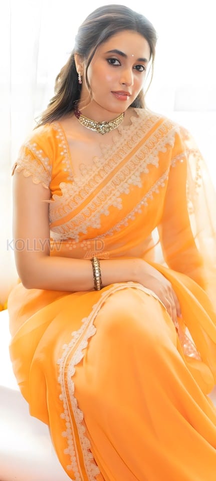 Stylish Priyanka Arul Mohan in an Orange Saree Photos 04