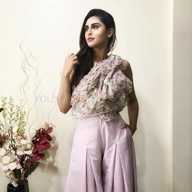 Tv Actress Krystle D Souza Photos