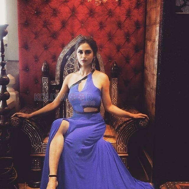 Tv Actress Krystle D Souza Photos