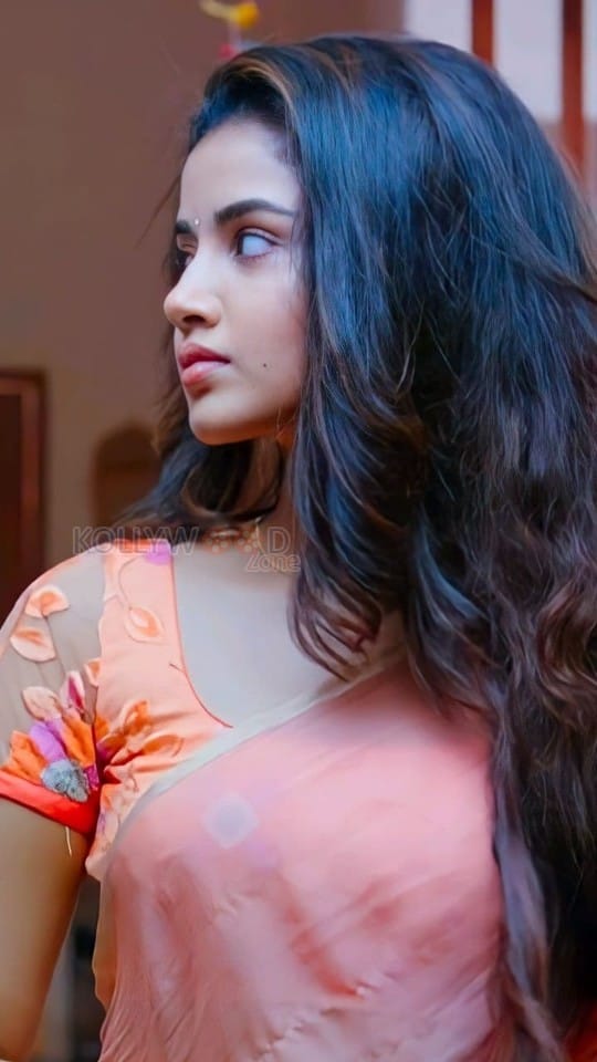 18 Pages Heroine Anupama Parameswaran Sexy Half Saree Pictures 02