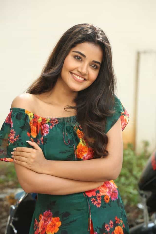Actress Anupama Parameswaran At Hello Guru Premakosame Interview Photos